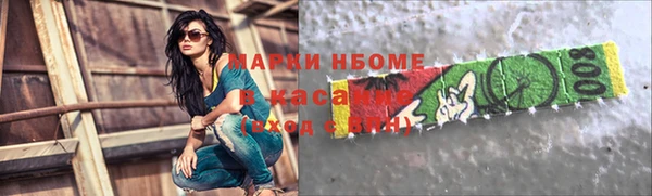 молекула духа Богородицк