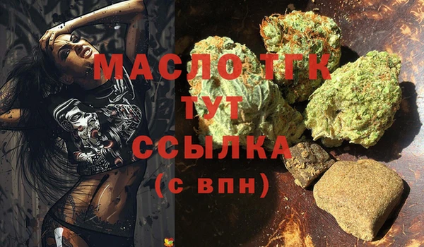 молекула духа Богородицк