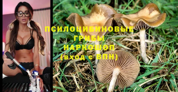 молекула духа Богородицк