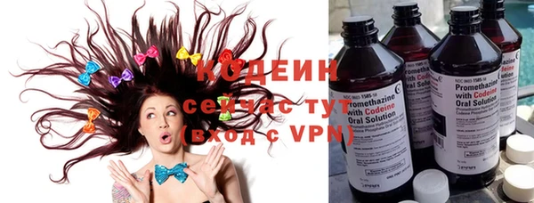 молекула духа Богородицк