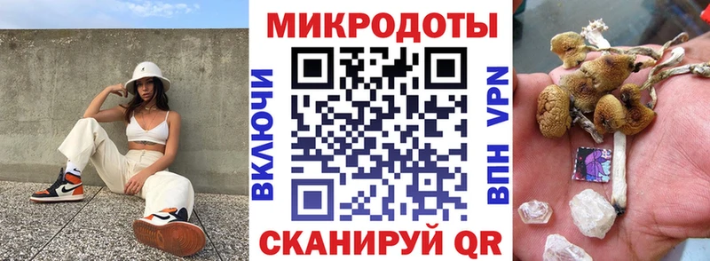 hydra сайт  Каргополь  Псилоцибиновые грибы мухоморы  купить наркоту 