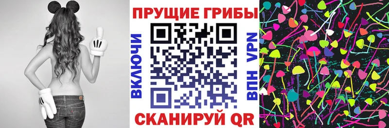 Галлюциногенные грибы MAGIC MUSHROOMS Каргополь